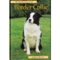 Pet Owner's Guide to the Border Collie